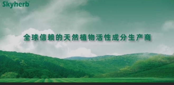 多年不懈努力，終獲官方青睞！